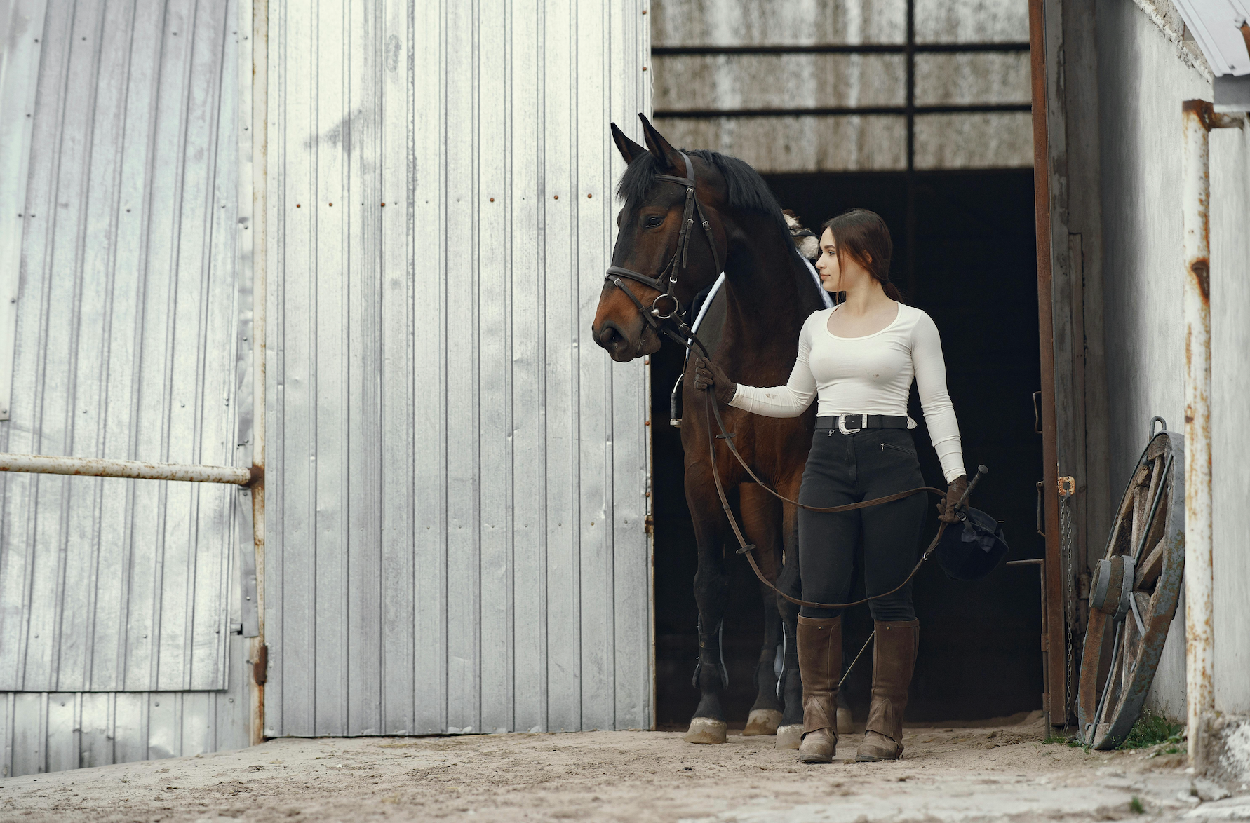 A Beginner Guide to Western Riding