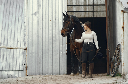 A Beginner Guide to Western Riding