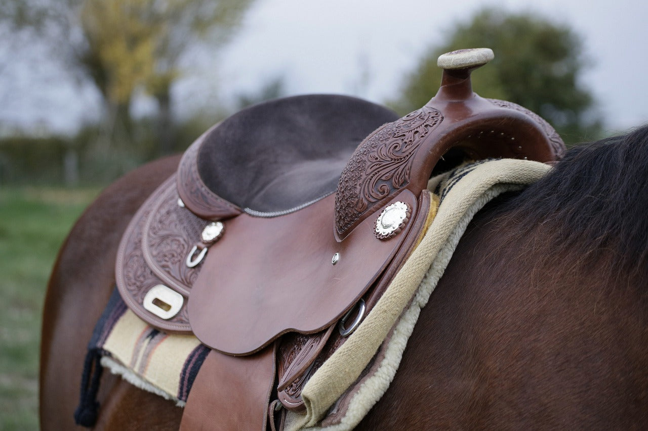 Choosing the Right Western Saddle