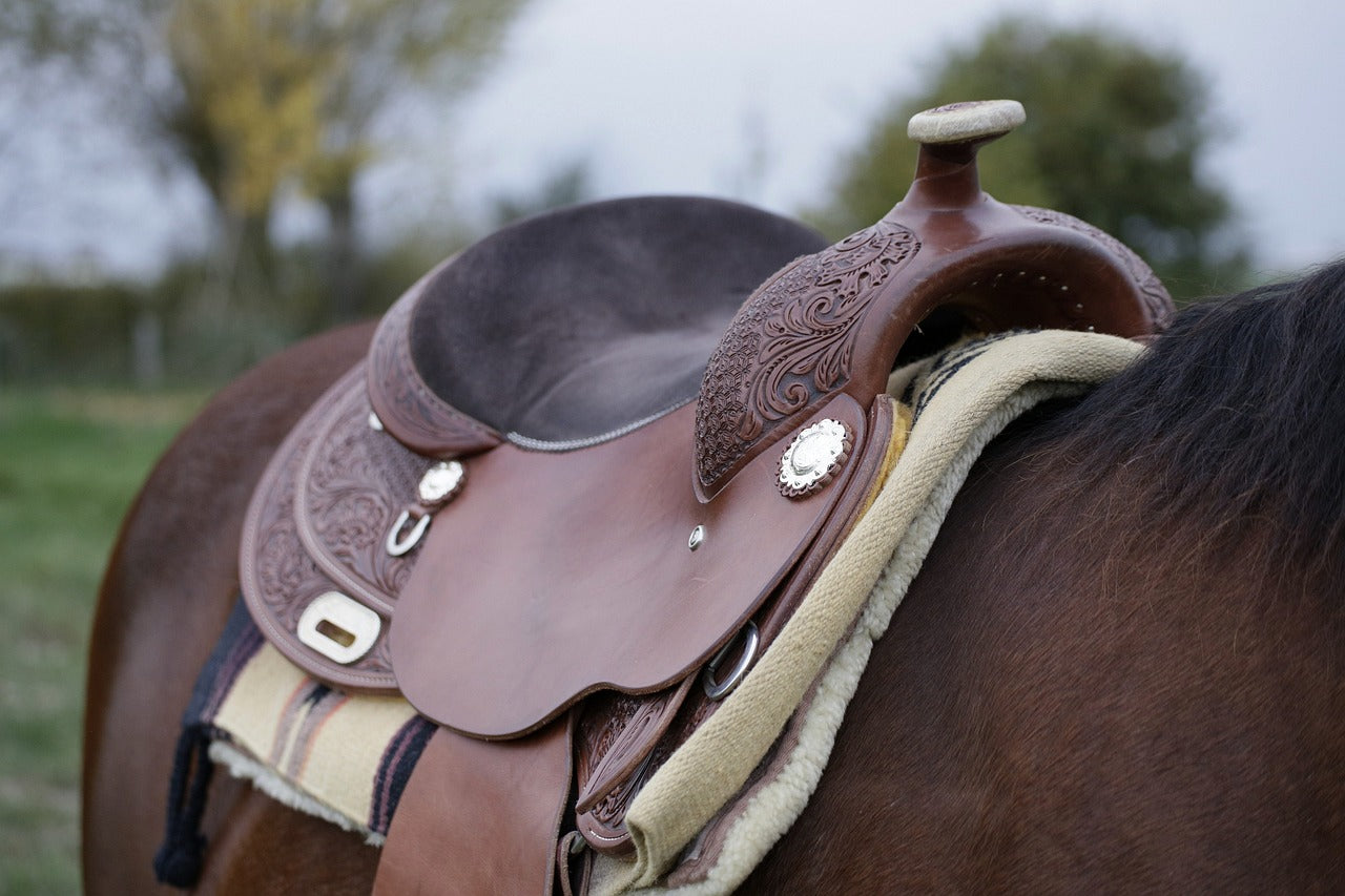 A Guide to Western Horse Saddles: Styles, Uses, and Tips for Choosing the Right One 1 Choosing the Right Western Saddle – Tacksmith
